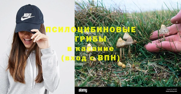 ECSTASY Балахна