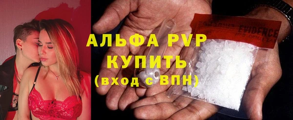 ECSTASY Балахна